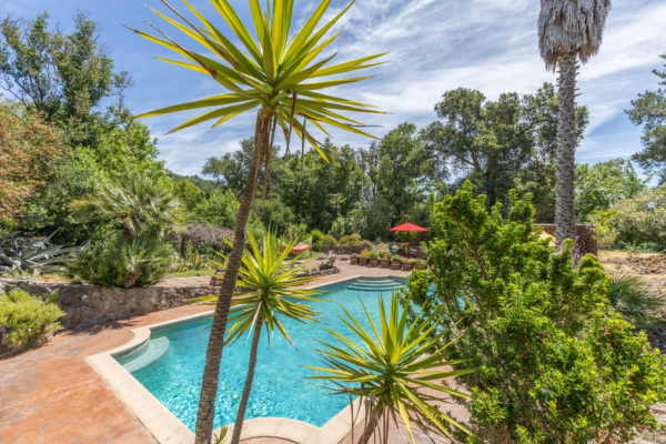 Photo-062519-Pool-011