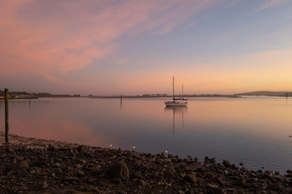 Bodega Harbor - Winter 2022 - Sailboat in the pink sunset (1 of 1)